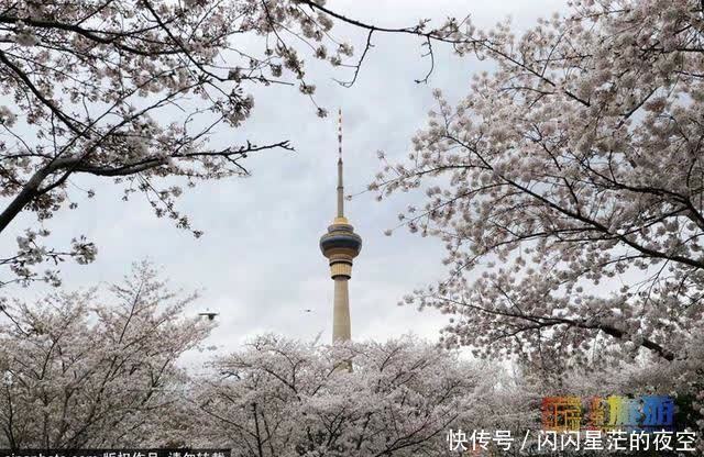 奥森南园“桃花源”有多美？在哪？怎么走？游玩攻略请收好！