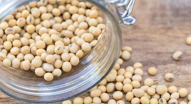 土豆发芽快丢掉，但2种食物发芽之后，营养价值却会翻倍！