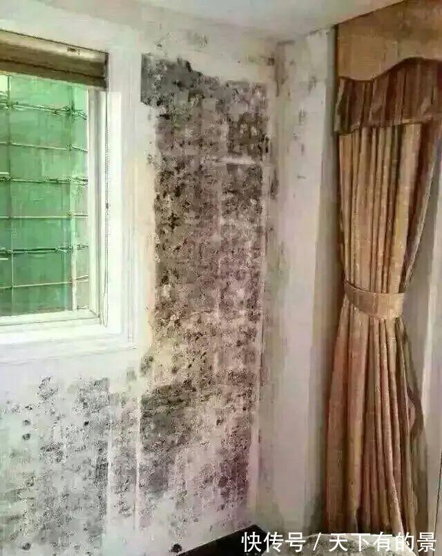 乳胶漆|装修墙面,是贴壁纸好还是刷乳胶漆好呢?大多数人都搞错了!