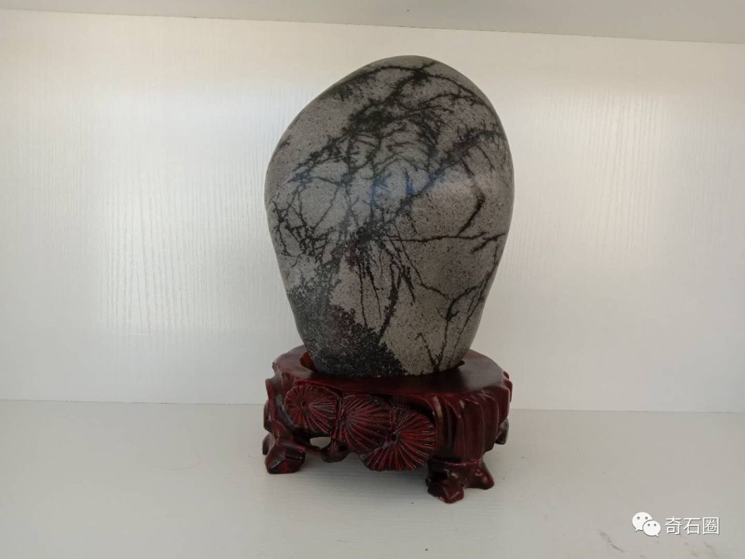 石头|金沙江边的康巴汉子捡了8年石头,摆满了一屋