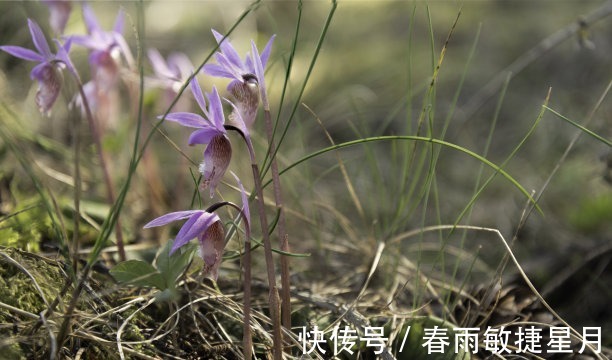 前程|往后8天，风雨过后，心泛涟漪，天降喜运，高人指路，前程似锦