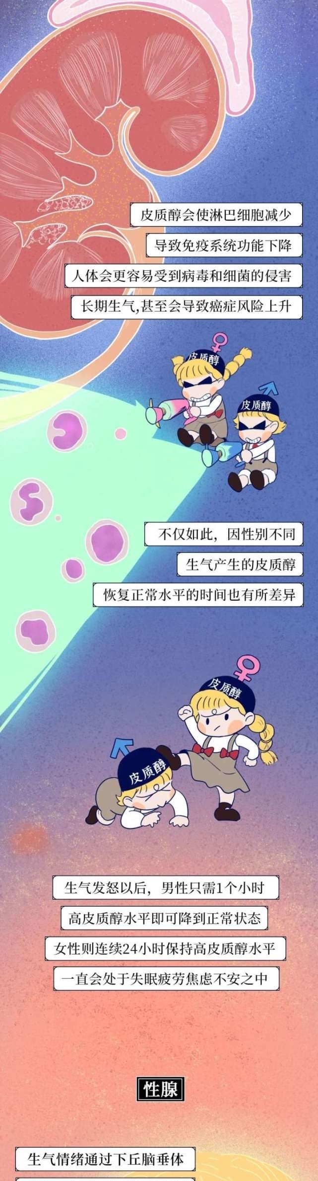 终于|人性漫画:为什么别惹女朋友生气,终于有科学答案了