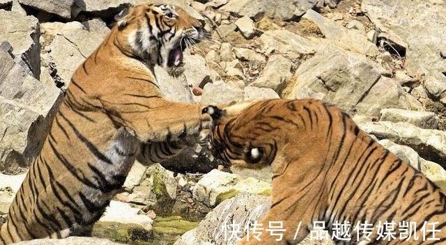 恩怨|两大枭雄慕容垂和拓跋珪的恩怨，到底谁更强？真相或许你不了解