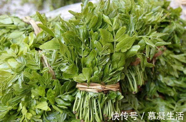 吃法|68种野菜图片,教你认识不同的野菜和吃法,你想要的野菜这里都有