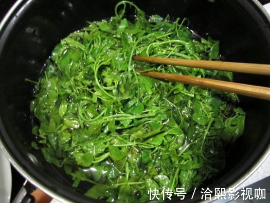 开胃|这种树叶子比嫩香椿还香，吃过的人不多，简单拌一拌，好吃又开胃