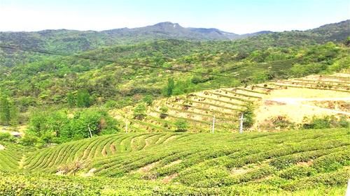 河南这个景区名字土得掉渣，风景却如同仙境，而且门票还0元