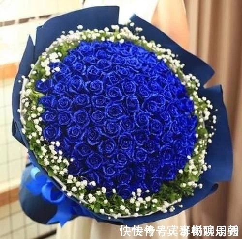 在家中养护花卉,就选择花色梦幻的花卉,妖娆优雅,非常的漂亮