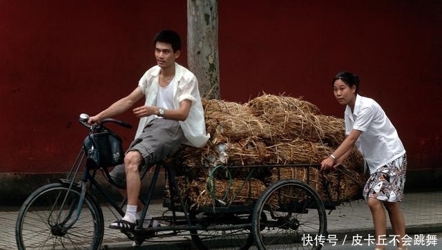 浙江杭州1981年，彼时的城市街景与景区游人