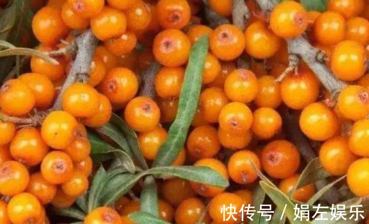 养颜|女性不想肚子鼓鼓,可常吃4物,排毒养颜,皮肤也细腻光滑