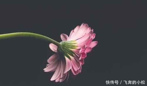 小说|《经典情节20种》之二探险,危险重重的小说情节会更吸引人