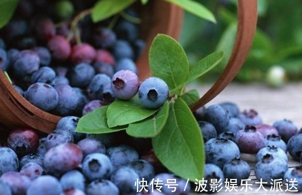 黑豆|老年人想长寿,多吃几种有色食物,不仅能助消化,更能延缓衰老