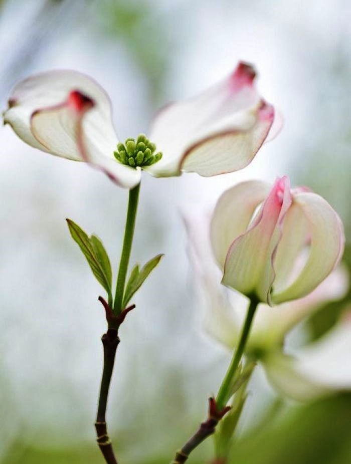 睿智!让人受用一生的句子,深刻睿智,受益匪浅