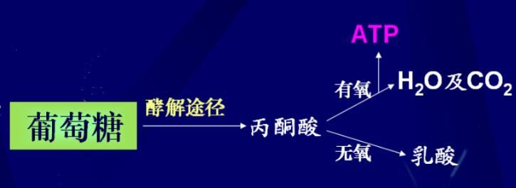  45岁痛风患者锻炼后发作更频繁，专家提醒痛风患者锻炼方式很重要