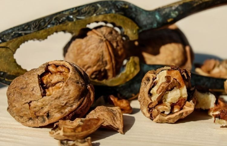 愛美女性可以吃3種食物，補充營養(yǎng)、延緩衰老，好吃又健康！