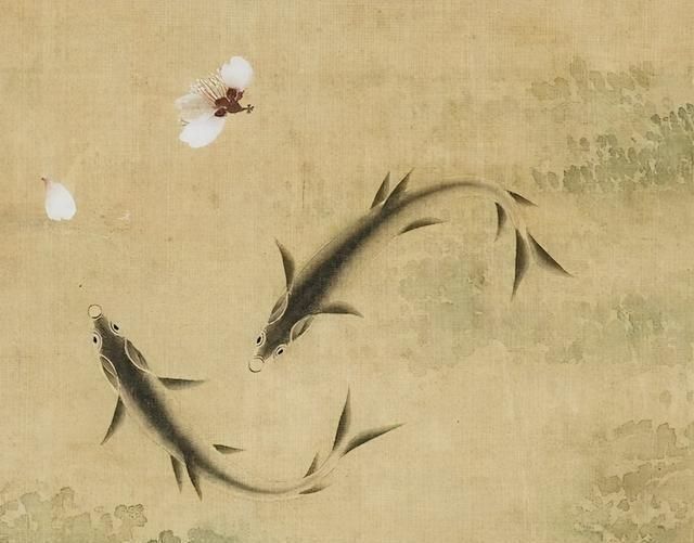 绘画#恽寿平画鱼真讲究,比齐白石画得更细腻,风格清新又典雅