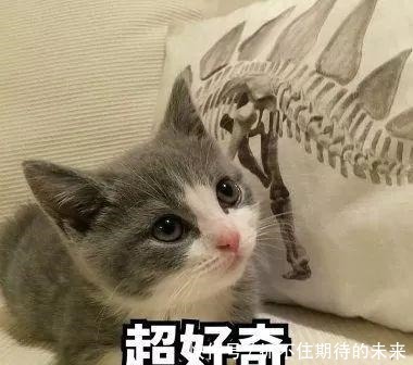 魔法|失败了一辈子的男主,转生后开局就碰到了僵尸、幽灵和骷髅