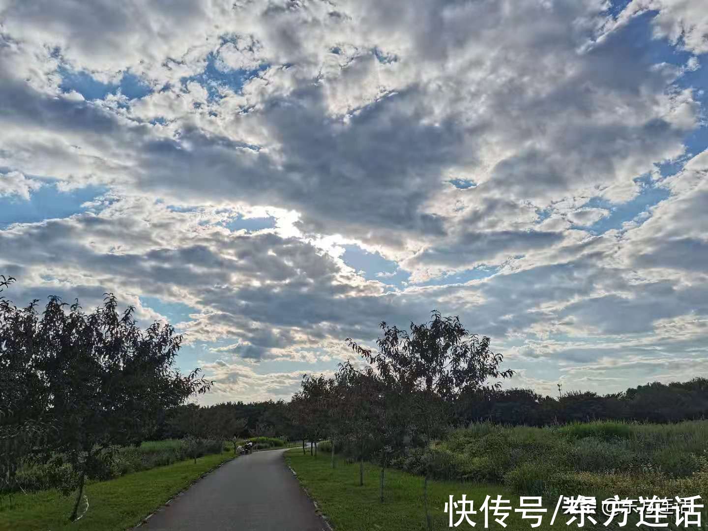 跑步|跑步笔记：跑步的女人