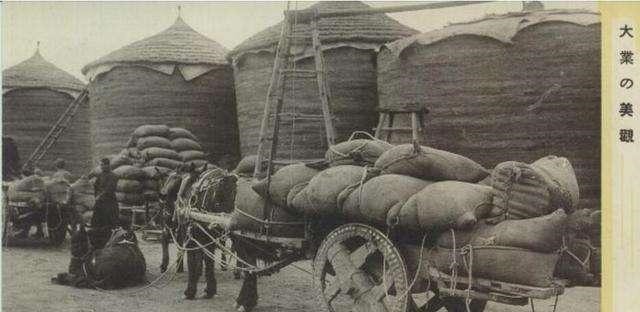 逃进|二战,一个日本五口之家逃进中国原始森林,40年后变什么样了