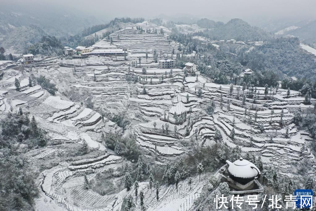 万寨乡|雪润茶乡