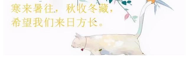 言情文|架空的历史言情文：她与灯《东厂观察日记》女主穿越牢里见到偶像