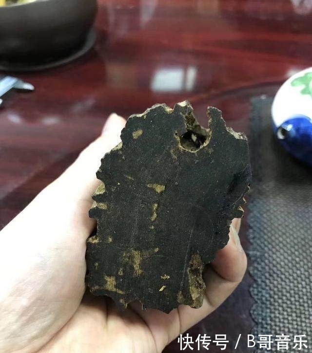 老炮从越南带回两根黑棒槌 一刀切开 激动得以头抢地 拂掌而呼