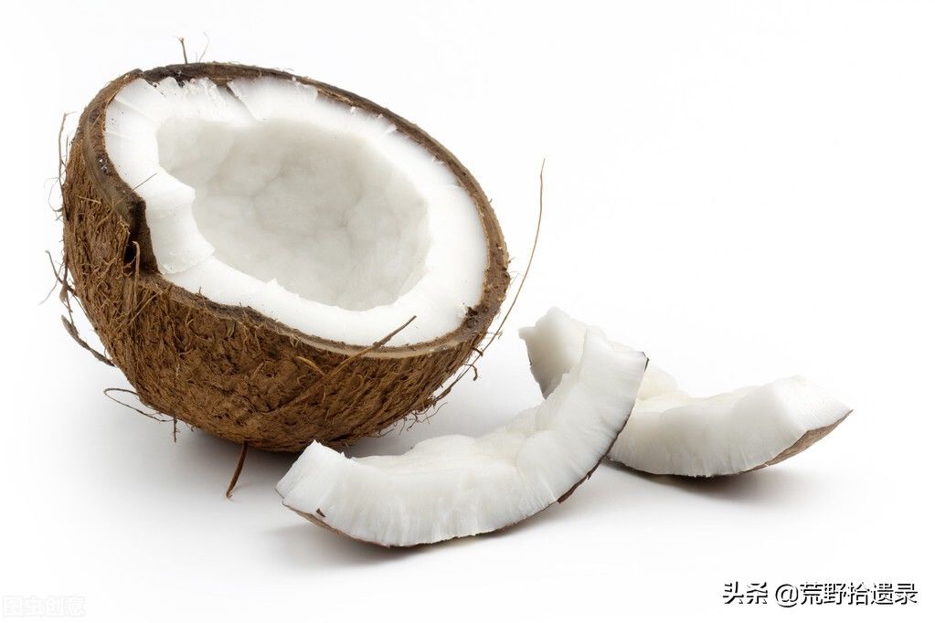 椰子 商人的小脑袋瓜——椰子珍珠