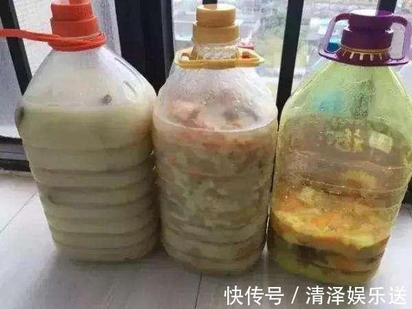 养花|生活垃圾做养花肥，再好不过，月季花用了就猛长！