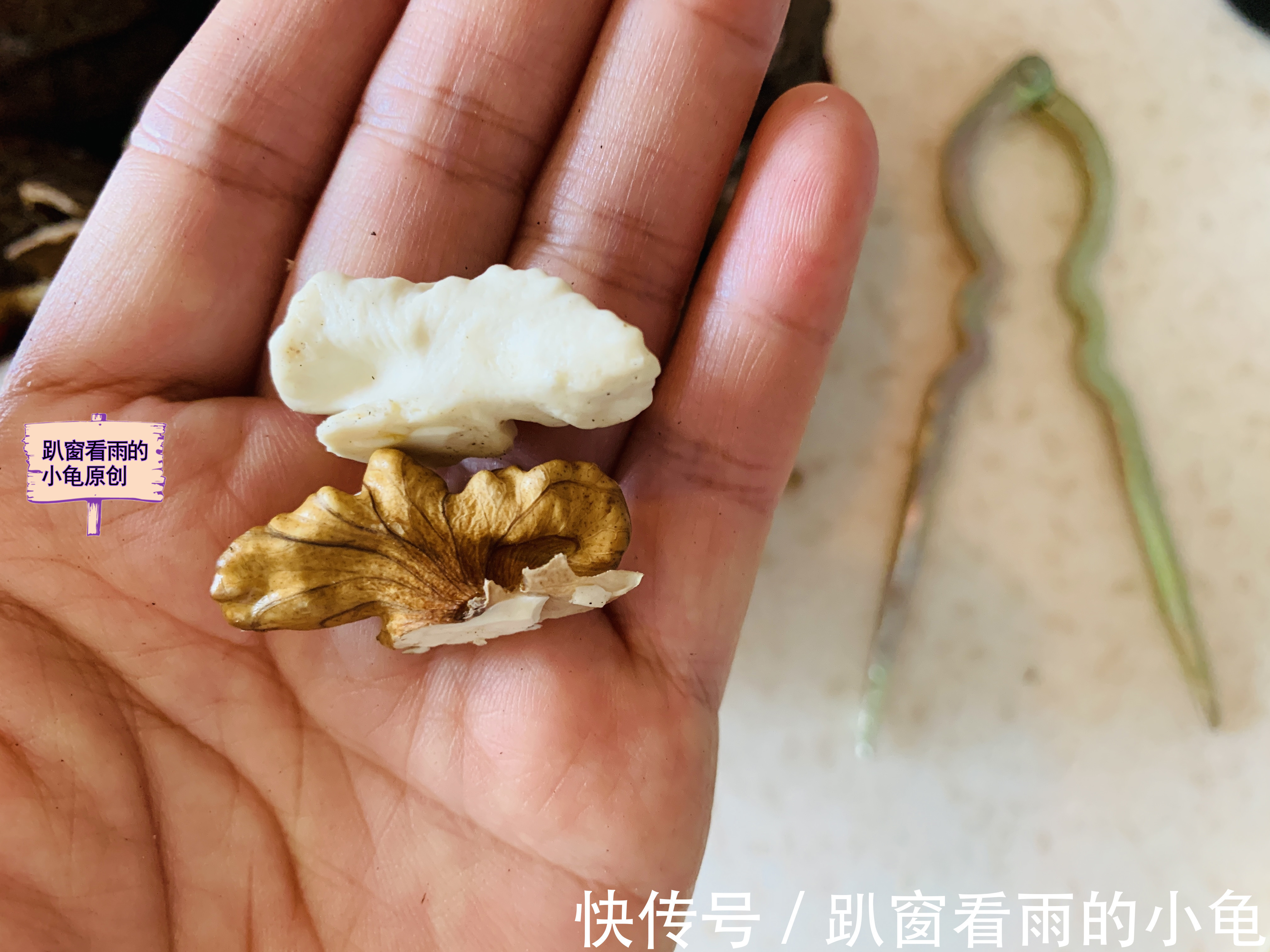 清脆|入秋后,记得给家人做这道快手菜,清脆爽口,营养滋补降秋燥