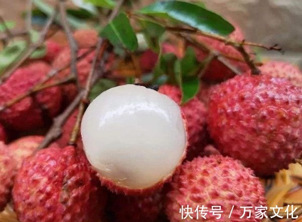 美容|超市很常见的3种食物,美容养生、滋润肌肤,早吃早健康!