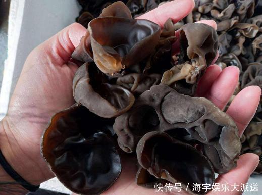 维生素b1|一家人吃木耳炒蒜后食物中毒,出问题的是蒜还是木耳告诉你答案