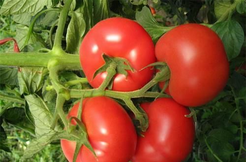 人到中年，多吃3种食物，清除血管垃圾，排毒养颜，早吃早好！