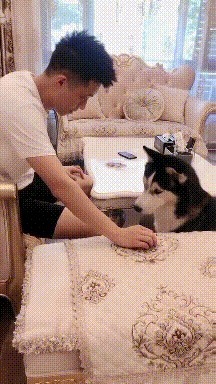 |搞笑GIF:那天我看到这小姐姐了,结果我上班迟到三个小时