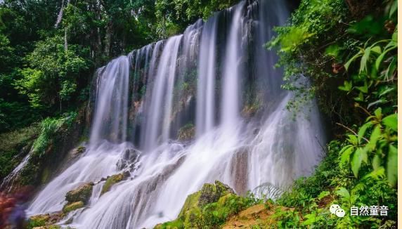 作者对大自然|部编语文三上第21课 阅读链接