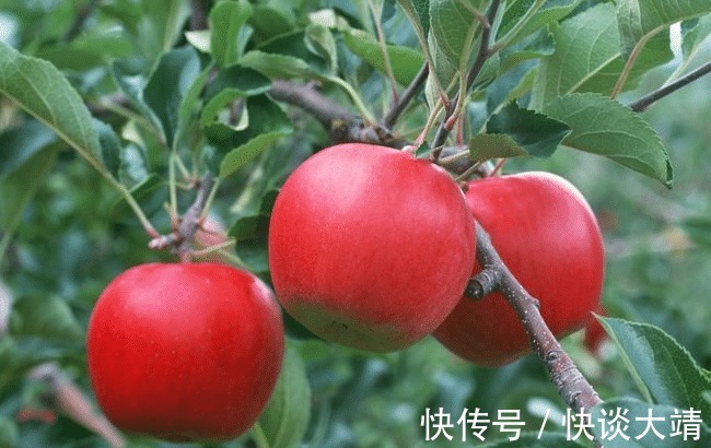 婴幼儿|哪些人不能吃月饼?