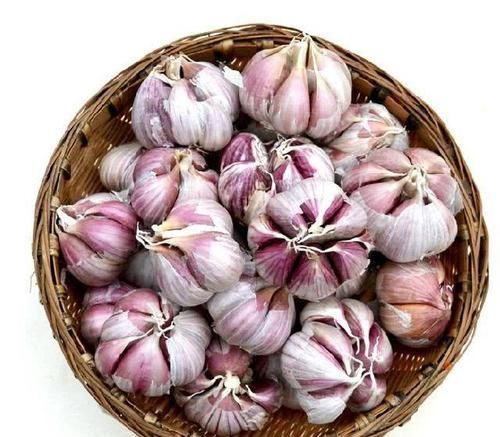  养生|大蒜养生保健效果极佳，但再好的大蒜，2类人不适合食用