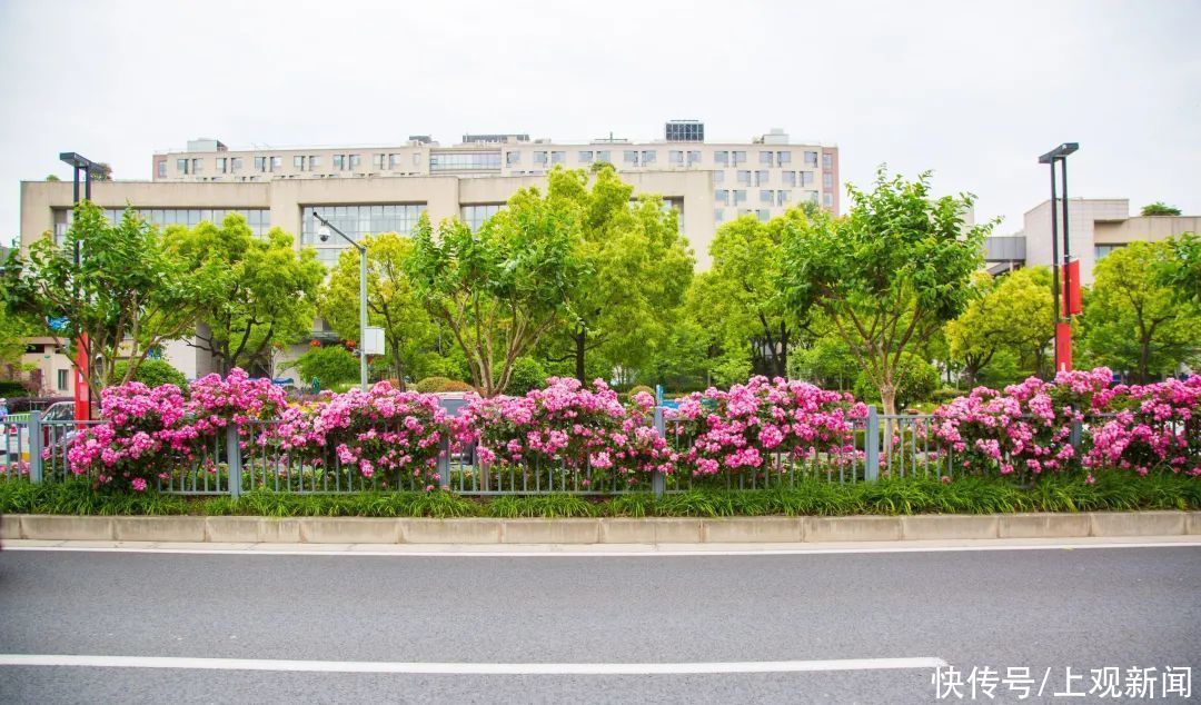 上师大|打卡！这里的繁花似锦，藏不住啦