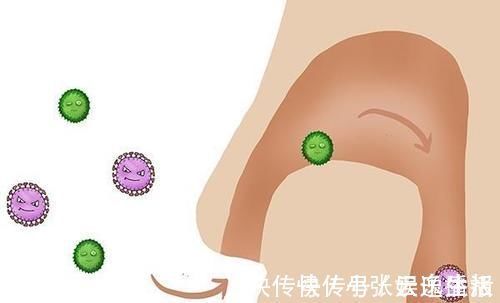 雄性激素|鼻毛长着长着就窜出来了,是暗示身体有疾?