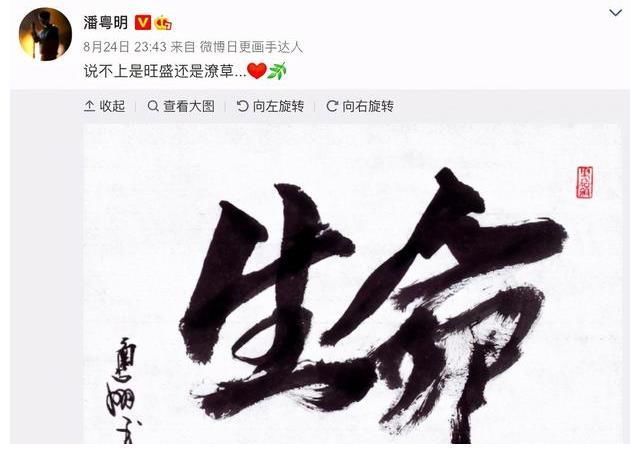 云南虫谷!原来这些剧的片头字,都出自潘粤明的书法!潘粤明这书法功底太绝