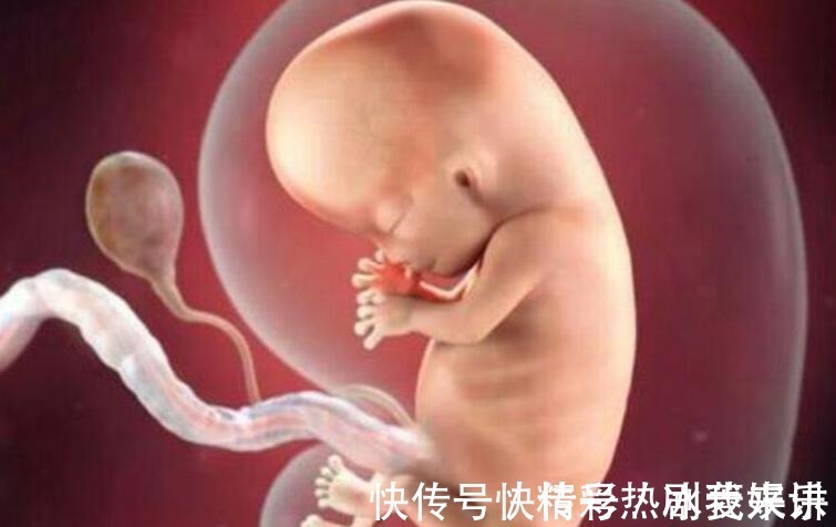 怀孕|怀孕5个月,如果孕妇遵循“四要三不要”原则,胎儿健康又聪明