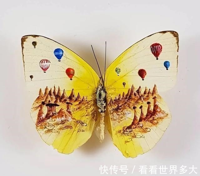 砂糖粒@惊爆眼球!60岁帅大爷在头发丝上画画,米粒、瓜子都给他当画布!