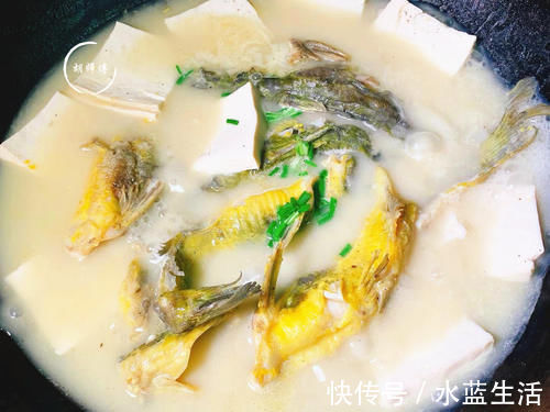 无论炖什么鱼,都不要放这2种料,放错了鱼又腥又难吃,还没营养
