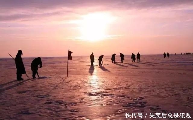 冬捕|辽金查干湖冬捕,千人扯网捞出头鱼,卖出85万天价,喜人