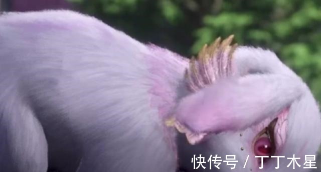 兔子|斗罗大陆唐三喂食兔子,有谁注意到小舞在舔三哥的手太甜了!