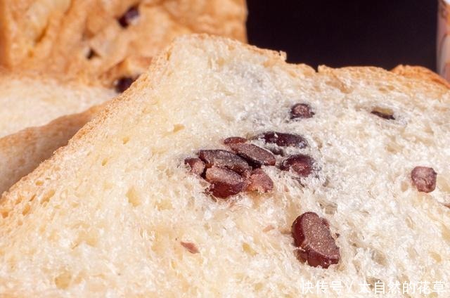 简单而朴素的做法,味道却不普通,最适合新手的烘焙入门面包