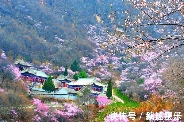 山寺$这3首著名的诗也曾备受质疑,是抬杠还是诗句确实有问题?