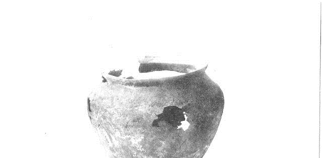 骨灰|考古学家翻开几百公斤的大石板,发现下面有个被压碎的青铜骨灰罐