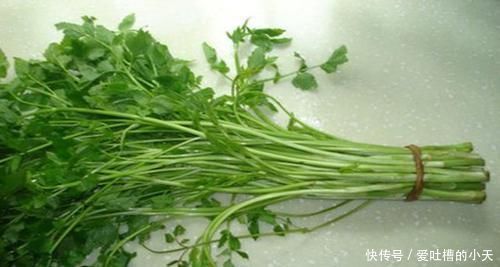 益气|想要健康长寿很简单,3种食物,“长寿草”,养肝护肝,补肝益气