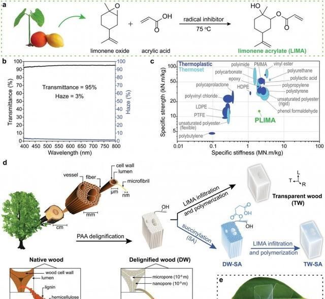 科学家利用橘子皮提取物开发完全可持续的透明木材