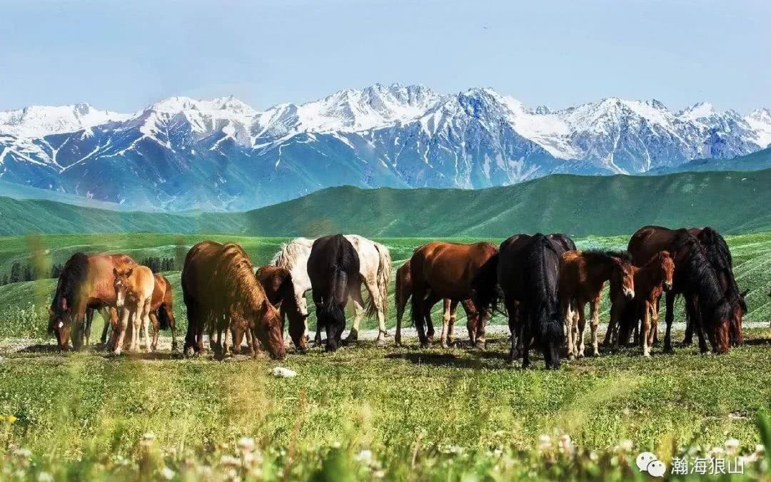 国家|古代游牧群落打仗，为何没有消耗财政资源一说？