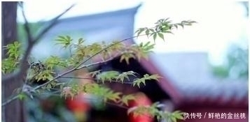 自然之道@这本书,与《道德经》齐名相传,古代“得道成仙”的人都在看